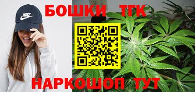 индика Жуковский