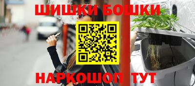 индика Жуковский