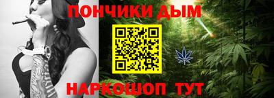 индика Жуковский
