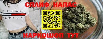 индика Жуковский