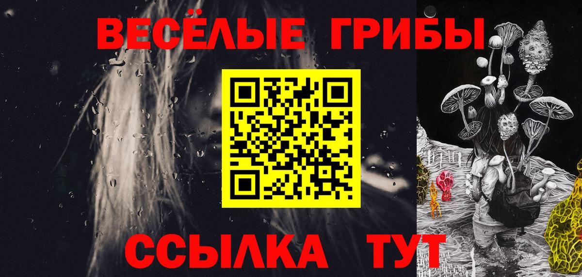Борзя  Галлюциногенные грибы Psilocybine cubensis  Вход с VPN  Галлюциногенные грибы прущие грибы 