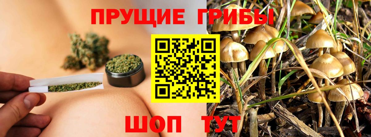 Галлюциногенные грибы мухоморы Борзя
